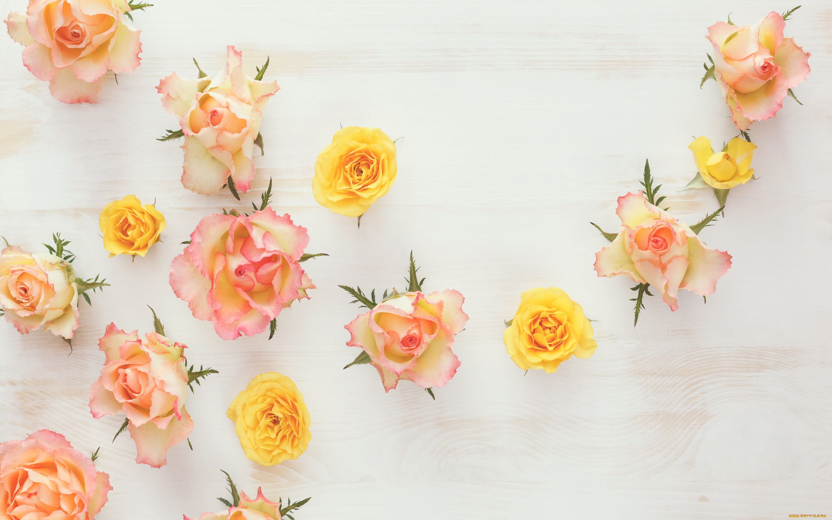 , , roses, flowers, wood